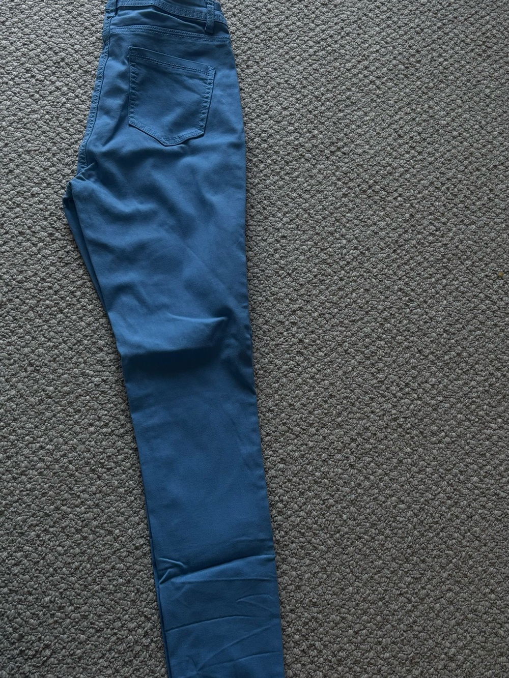 Women Blue Slim Fit Stretch Pants